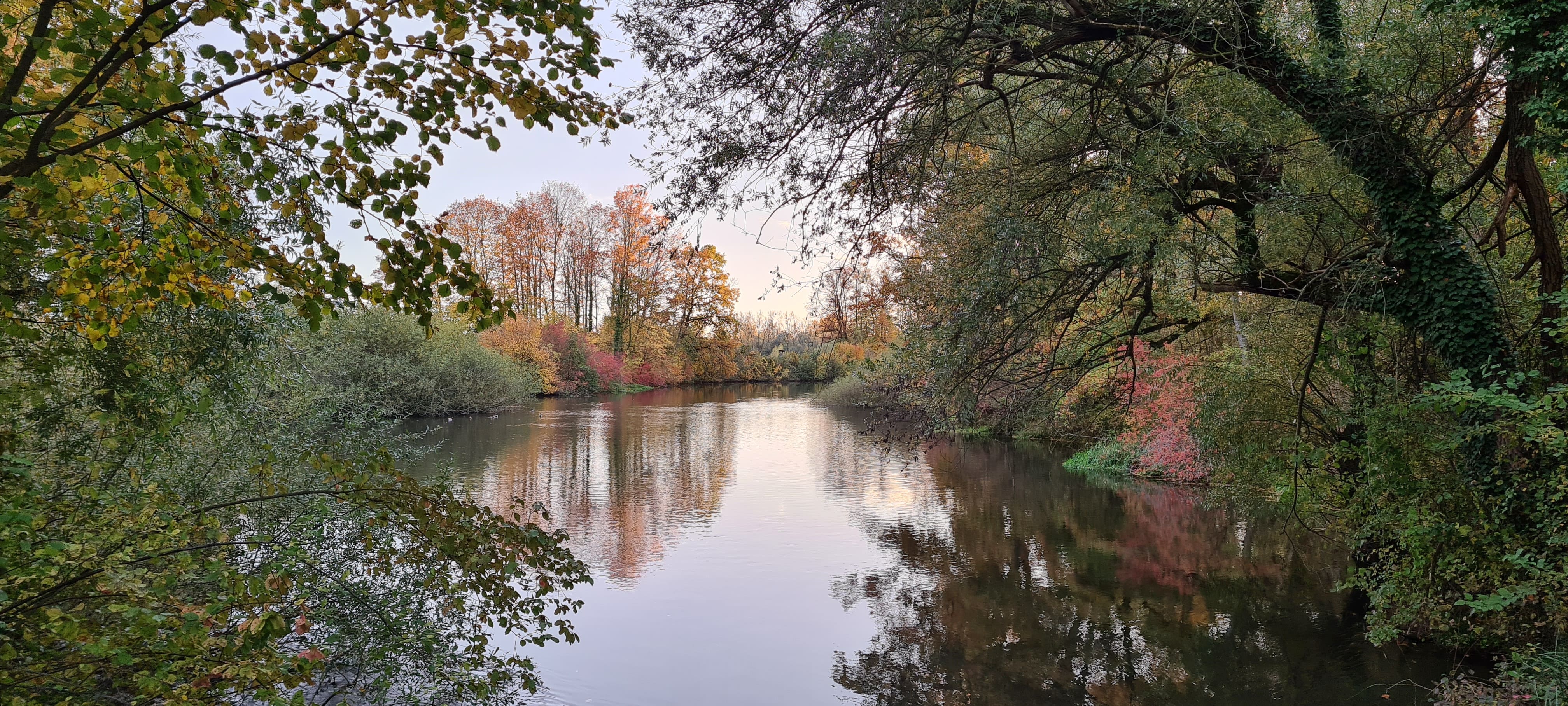 Natur und Angelbereich im Verein